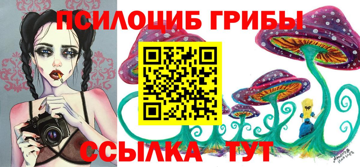 Галлюциногенные грибы прущие грибы Сокол
