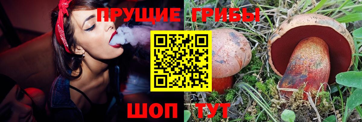 Псилоцибиновые грибы мухоморы  Псилоцибиновые грибы прущие грибы  Вход с VPN  Сокол 